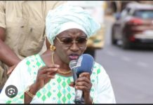 FRONTIÈRE SÉNÉGAMBIENNE : Mimi Touré bloquée par la police