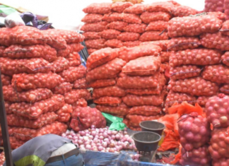 Approvisionnement du marché en oignons : 8.635 tonnes réceptionnées au Port de Dakar