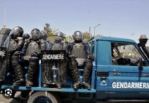 MIGRANTS INTERPELLÉS À CAYAR : Des jeunes attaquent la gendarmie