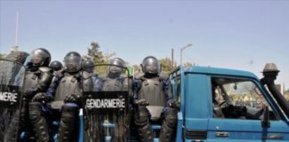 MIGRANTS INTERPELLÉS À CAYAR : Des jeunes attaquent la gendarmie