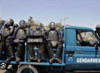 MIGRANTS INTERPELLÉS À CAYAR : Des jeunes attaquent la gendarmie