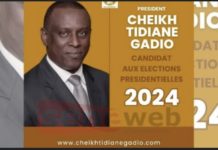 PRÉSIDENTIELLE 2024 : Cheikh Tidiane Gadio déclare sa candidature