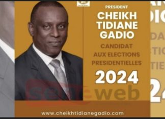 PRÉSIDENTIELLE 2024 : Cheikh Tidiane Gadio déclare sa candidature