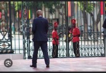 PRÉSIDENCE : 5 ans sans Bruno Diatta !