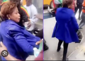 MANIFESTATIONS À NEW YORK : La députée Coura Macky malmenée
