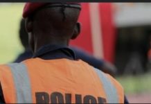 MBOUR : Un policier à la retraite arrêté devant son ancien commissariat avec du chanvre indien