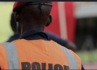 MBOUR : Un policier à la retraite arrêté devant son ancien commissariat avec du chanvre indien