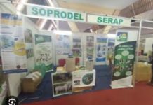 SOPRODEL : Détournement de 138 millions Fcfa, le DAF déféré !