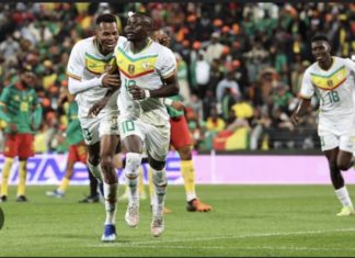 MATCH AMICAL : Le Sénégal bat le Cameroun