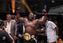 MMA : Victoire par KO de Bombardier sur le Polonais Red