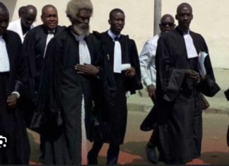 COMMUNIQUÉ DE LA DGE : Le collectif des avocats de Sonko recadre le directeur des Élections