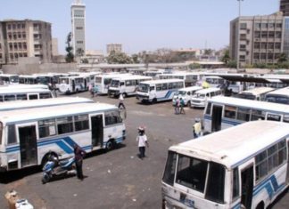 Transport urbain dakarois : Les TATA bientôt en grève !