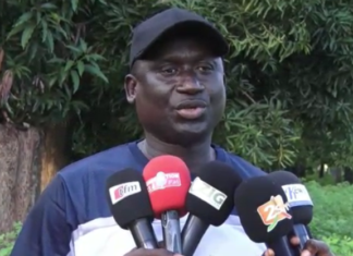 Sud : le maire de Bignona, Bacary Diatta, arrêté…