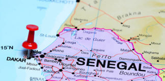 DÉCOUVERTE: L’histoire du Sénégal, de la préhistoire à l’indépendance, peu connue par le grand public