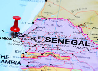 DÉCOUVERTE: L’histoire du Sénégal, de la préhistoire à l’indépendance, peu connue par le grand public