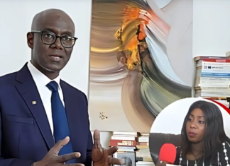 ‘Candidatures 2024 fantaisistes ou de calcul politiciens’ (Thierno Alassane Sall)