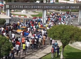 FERMETURE DE L’UCAD : Le Saes annonce une marche nationale de protestation au sein de l’université