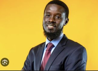 MESSAGE À LA NATION DE SONKO : Bassirou Diomaye Faye désigné plan B du Pastef