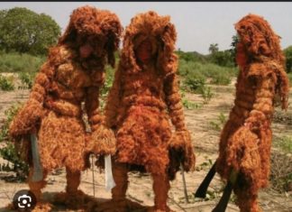 KOLDA : Le Kankourang interdit jusqu’à nouvel ordre par le préfet