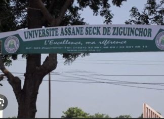 AFFRONTEMENTS À L’UNIVERSITÉ DE ZIGUINCHOR : Une dizaine d’arrestations et plusieurs blessés