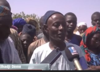 BAYE FAAL TUÉ À TOUBA : 10 suspects placés sous mandat de dépôt, le chef de village de Thiayefally inculpé