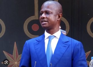 WOYOFAL : Le ministre de l’Énergie annonce une bonne nouvelle