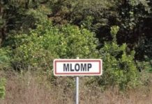 MLOMP : Pour une histoire de chiots, un homme tue son voisin