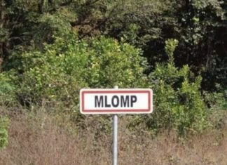 MLOMP : Pour une histoire de chiots, un homme tue son voisin