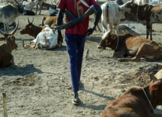 Vol avec armes à feu dans le Balantacounda : président du comité de veille, Séraphin Mané blessé