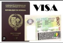 ESCROQUERIE AU VISA : Un opérateur économique tombe dans les filets de la DIC