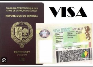 ESCROQUERIE AU VISA : Un opérateur économique tombe dans les filets de la DIC