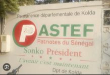 KOLDA : Un militant de Pastef-Espagne arrêté et transféré à Dakar