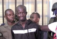 DIOURBEL : Les trois (3) complices de Boy Djiné déférés