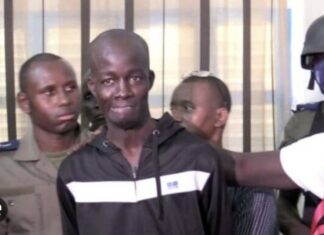 DIOURBEL : Les trois (3) complices de Boy Djiné déférés