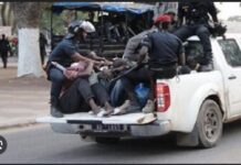 TAMBACOUNDA : Un gang de Burkinabé qui opérait au Mali arrêté