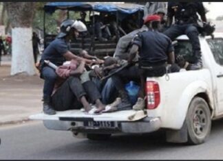 TAMBACOUNDA : Un gang de Burkinabé qui opérait au Mali arrêté