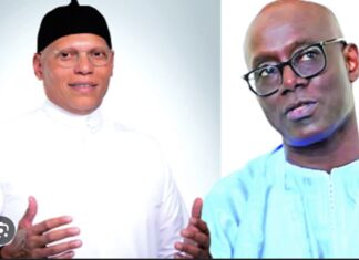 DOUBLE NATIONALITÉ DE KARIM WADE : Thierno Alassane Sall dépose un recours devant le Conseil Constitutionnel ce mardi
