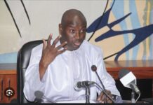 POLÉMIQUE SUR LA DOUBLE NATIONALITÉ : Aly Ngouille Ndiaye prend la défense de Karim Wade