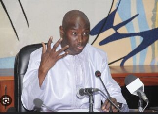 POLÉMIQUE SUR LA DOUBLE NATIONALITÉ : Aly Ngouille Ndiaye prend la défense de Karim Wade