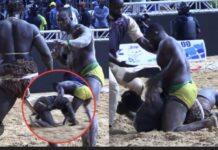 LUTTE : Modou Lo conserve sa couronne et met fin à l’ascension fulgurante de Boy Niang