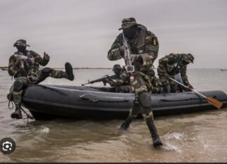 ARMÉE : Cinq (5) commandos de la Marine nationale portés disparus