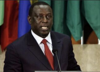 CRISE POLITIQUE : Cheikh Tidiane Gadio propose une concertation nationale à la place du dialogue nationale