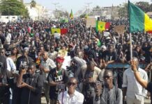 Tensions au Sénégal : ‘ Appel à la Mobilisation Pacifique sous le Hashtag #FreeSenegal ‘, (Pape Alé Niang)