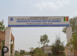 UNIVERSITÉ ALIOUNE DIOP DE BAMBEY : Le collectif des vacataires observe une grève de 72 heures renouvelable