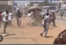 PARCELLES ASSAINIES : Une bagarre éclate entre les jeunes de ‘Diomaye Président’ et les gardes du corps de Amadou Ba
