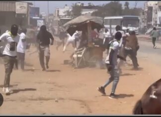 PARCELLES ASSAINIES : Une bagarre éclate entre les jeunes de ‘Diomaye Président’ et les gardes du corps de Amadou Ba
