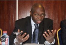 MAMADOU LAMINE DIALLO SUR LE FORMAT DU DIALOGUE NATIONAL : ‘Je ne peux pas dialoguer avec Coumba Gawlo Seck’