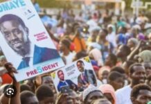 PRÉSIDENTIELLE 2024 : Les premières tendances placent Bassirou Diomaye en tête