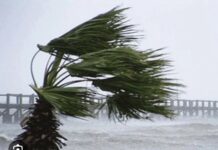 MÉTÉO : Des rafales de vent annoncées sur tout le littoral sénégalais