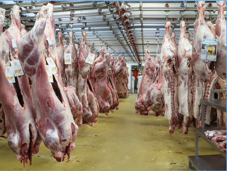 PRÉPARATIFS DE LA TABASKI : L’Arabie Saoudite octroie 10.000 carcasses de moutons au Sénégal